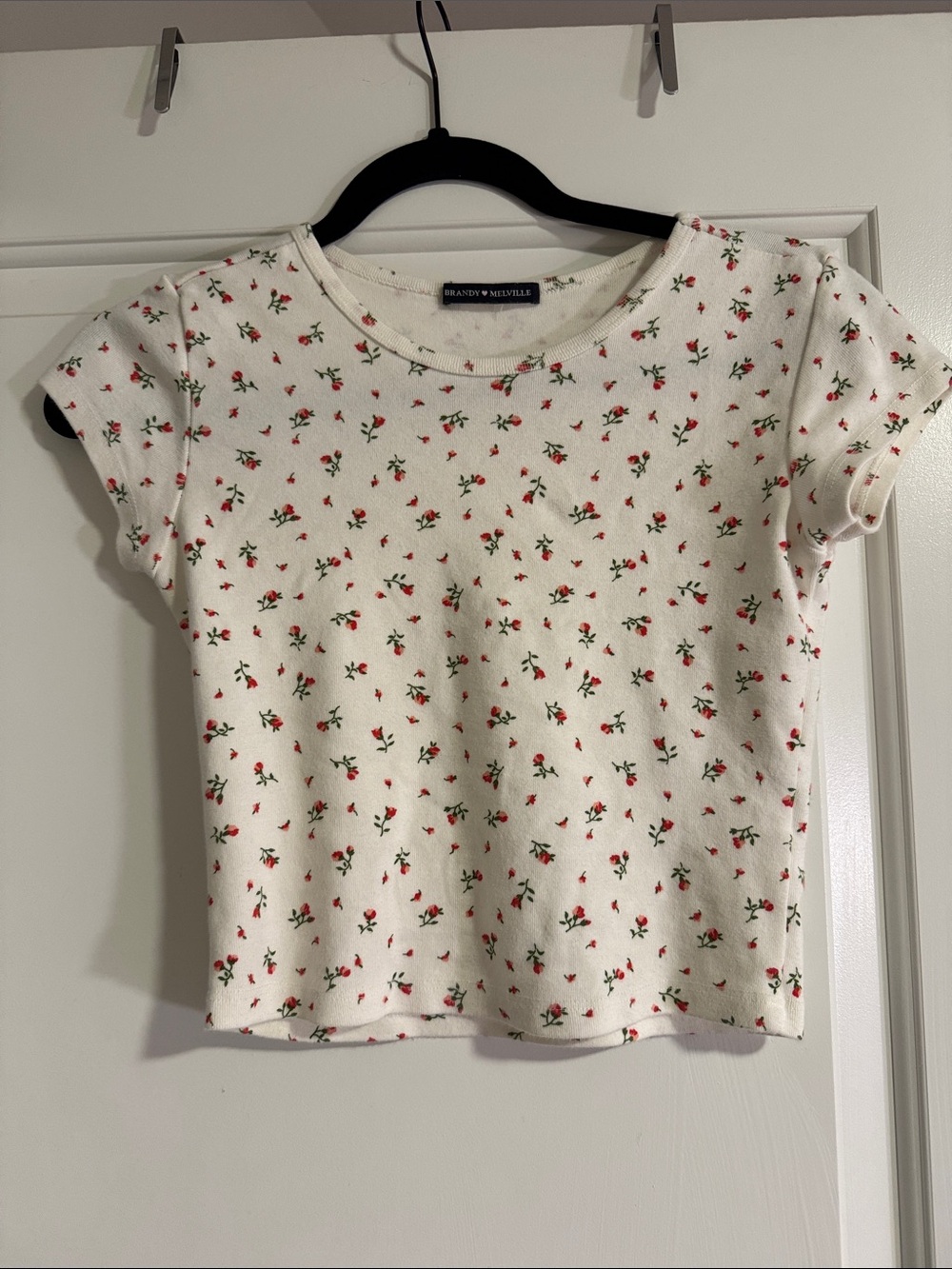 Brandy Melville Floral Crop Top